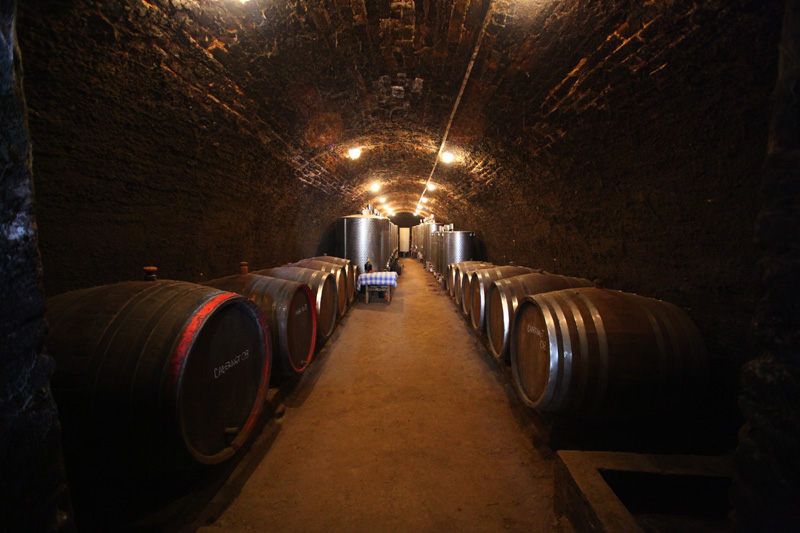 Wine cellar Sremski Karlovci Tour