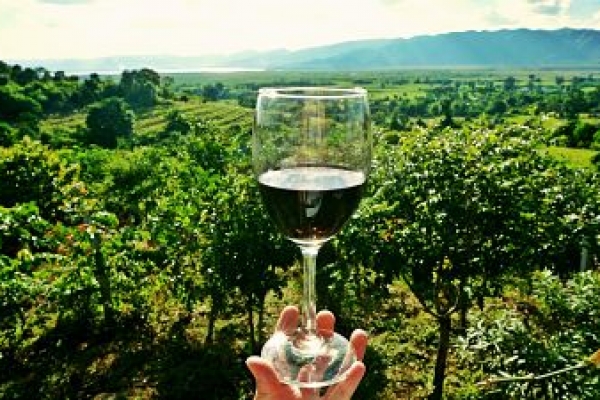 Serbia Wine tour
